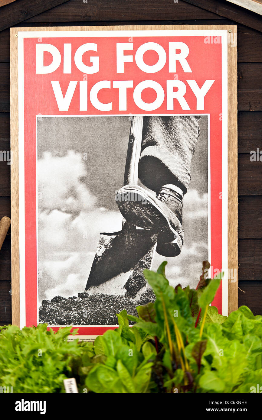 'Dig for Victory' Poster Stock Photo