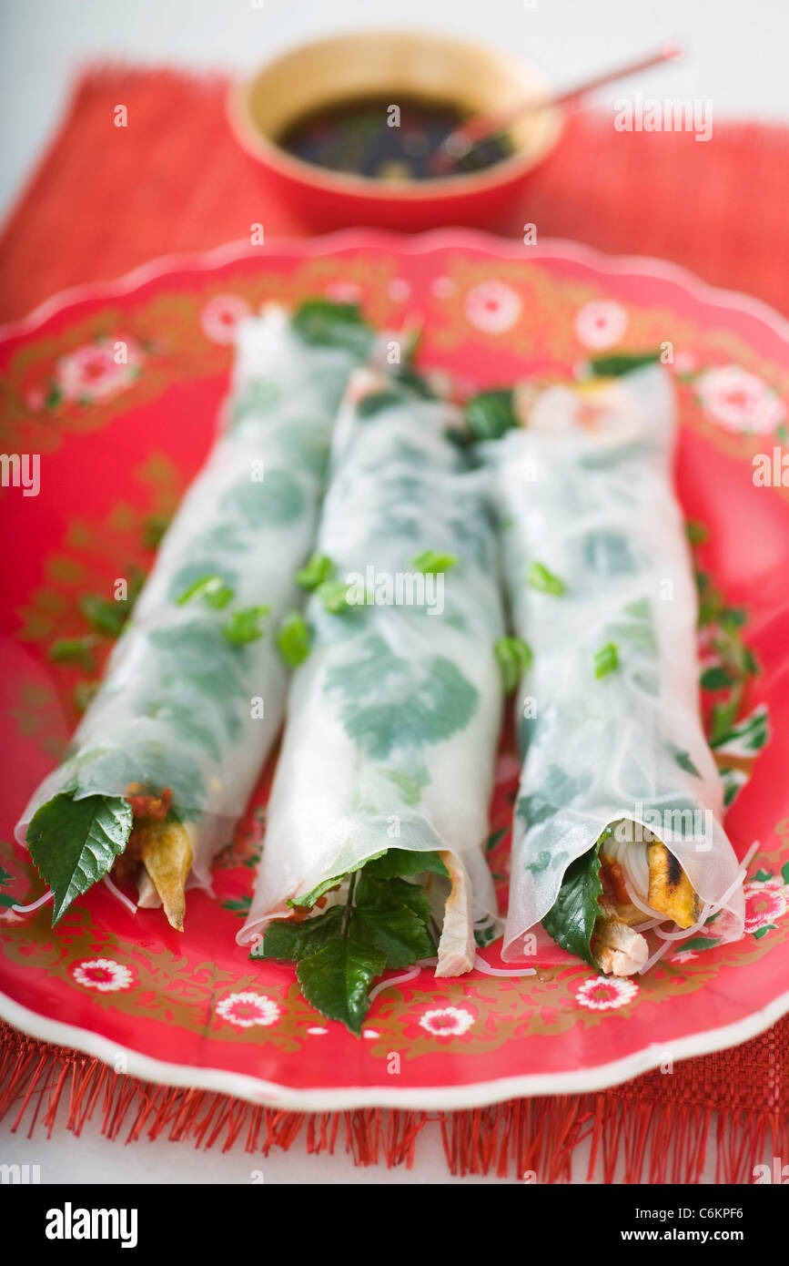 Spring rolls with herbs Stock Photo