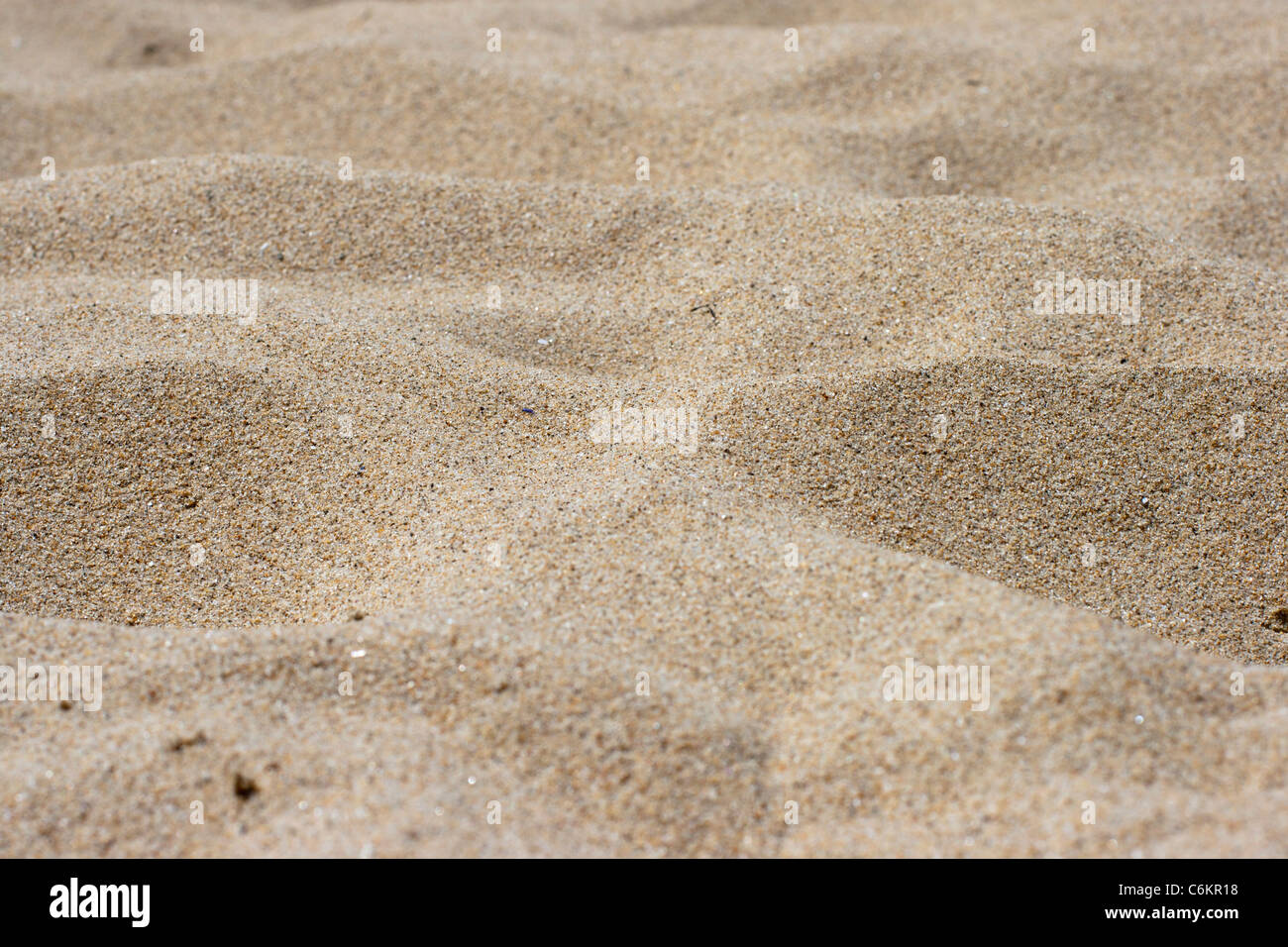 sand dunes on the beach Stock Photo - Alamy