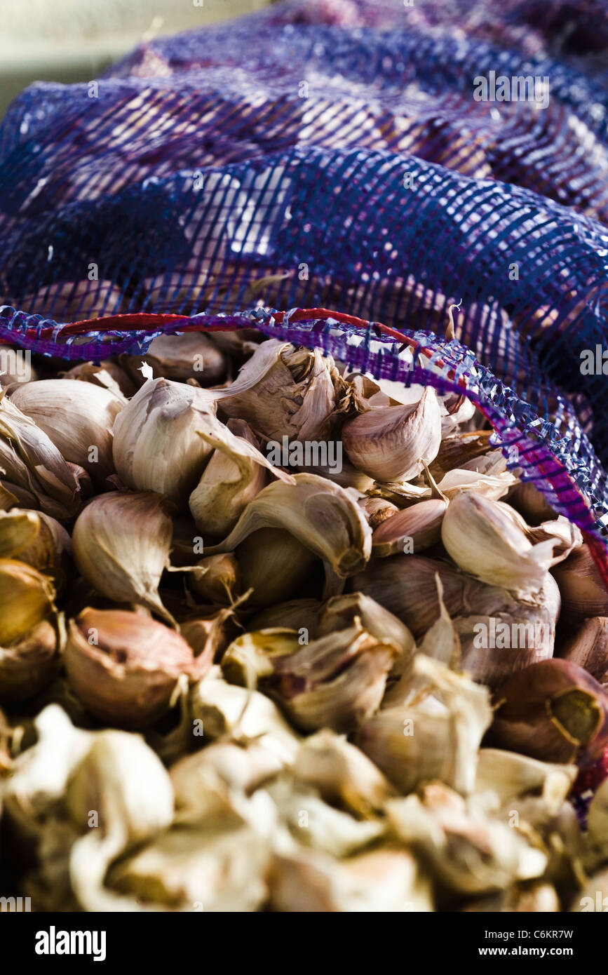 Large bag of fresh garlic Stock Photo
