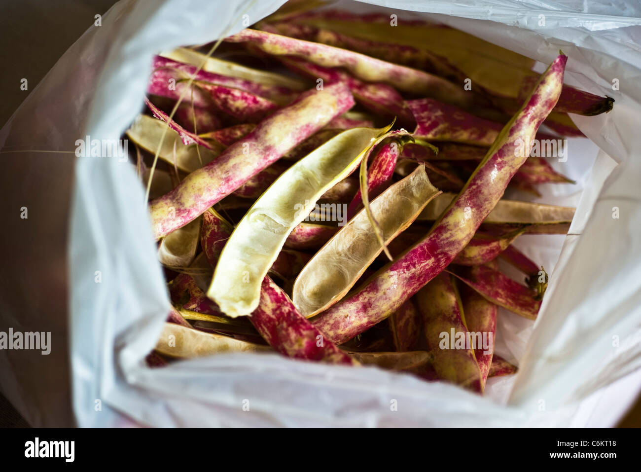 Italian borlotti beans Stock Photo