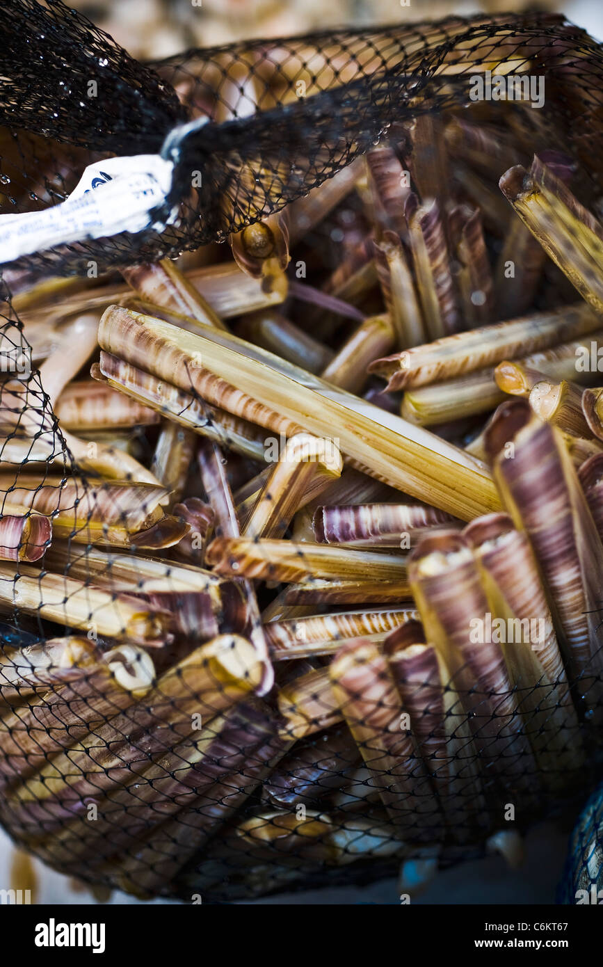 Razor clam fishing hires stock photography and images Alamy