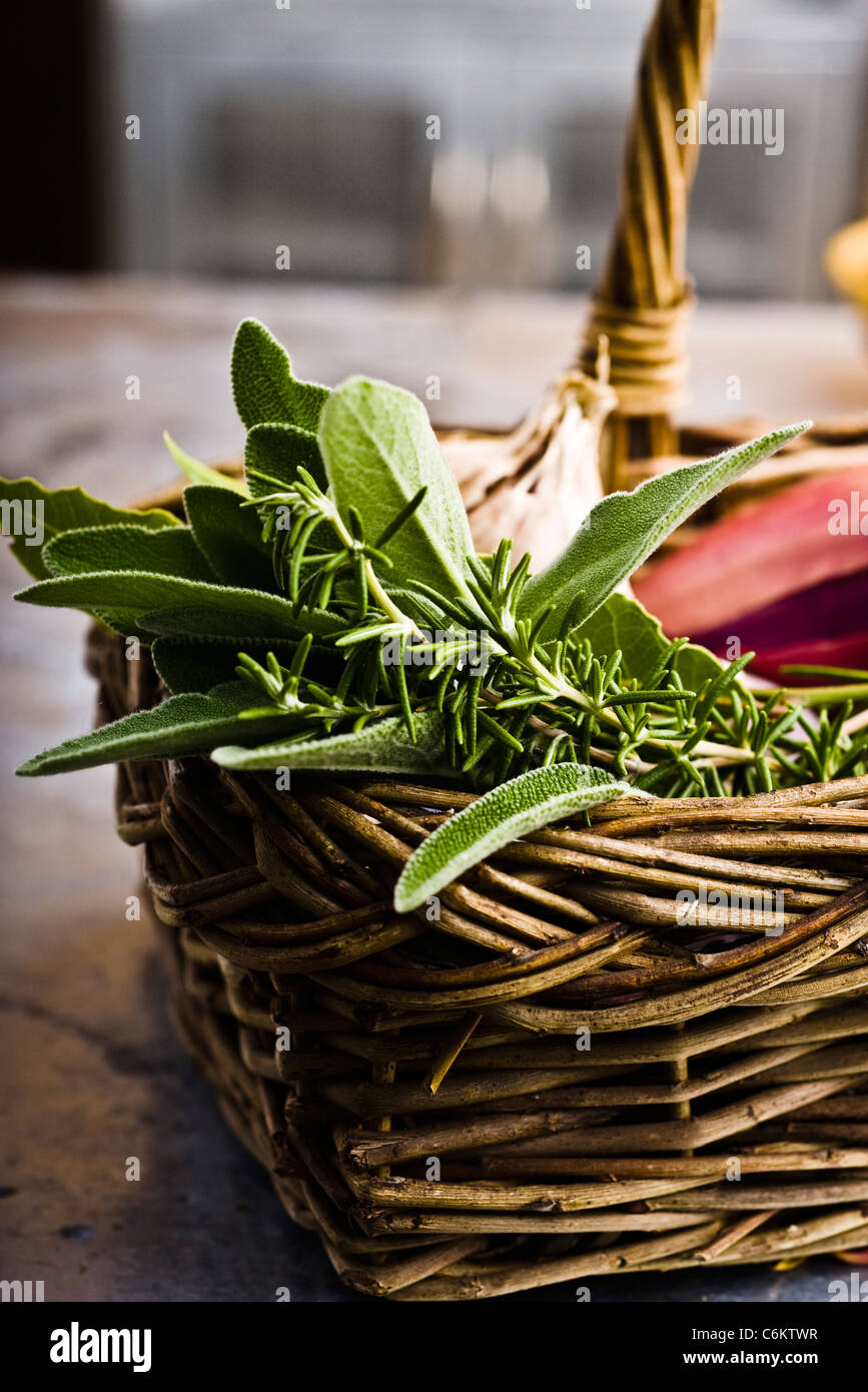 Fresh rosemary and sage in basket Stock Photo