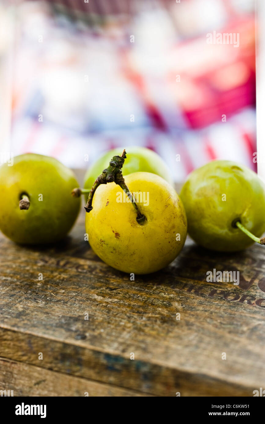 Greengages greengage plum plums healthy fruit fruits food hires stock