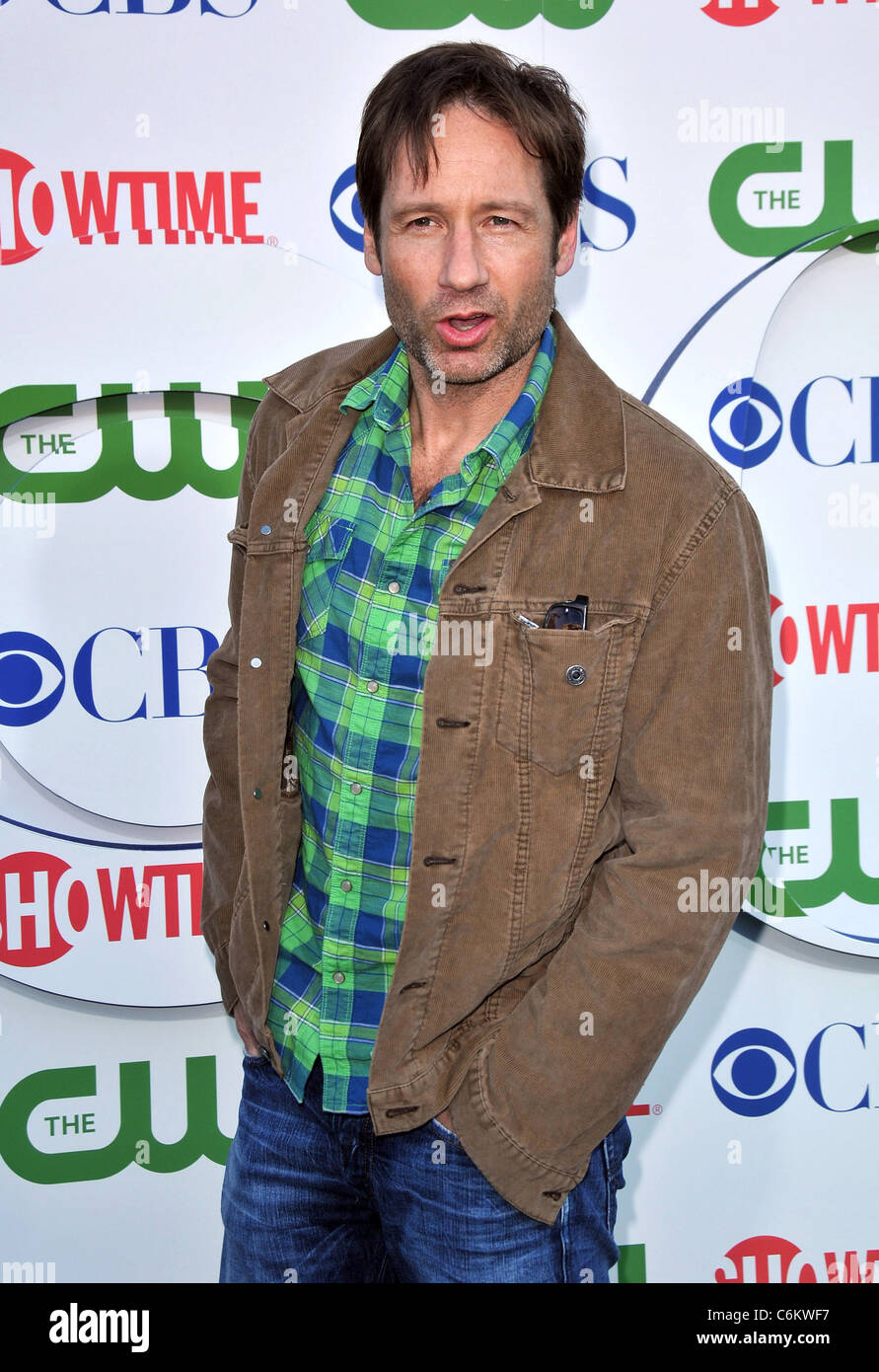 David Duchovny 2010 CBS, CW, Showtime summer press tour party held at