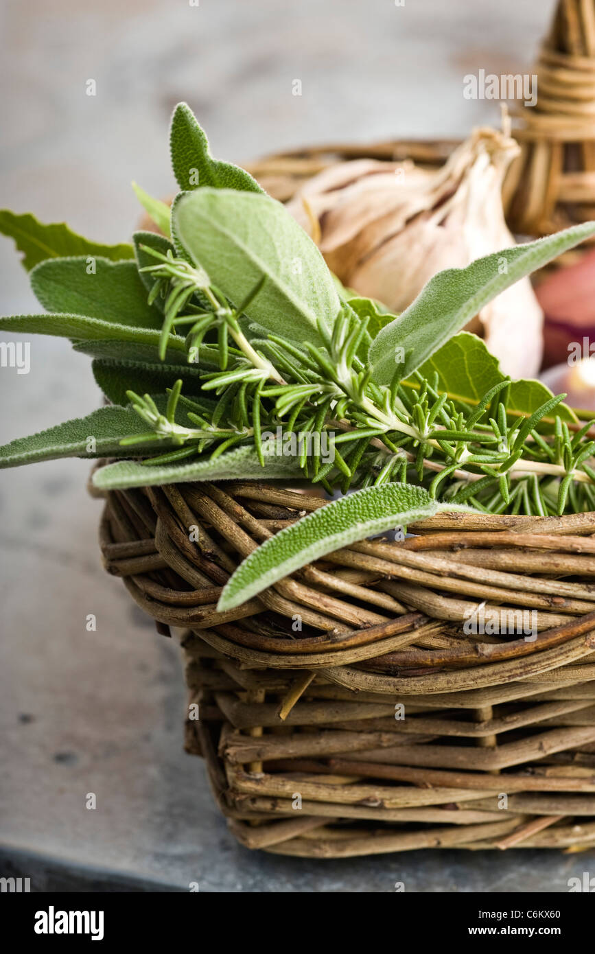 Fresh herbs in basket Stock Photo Alamy