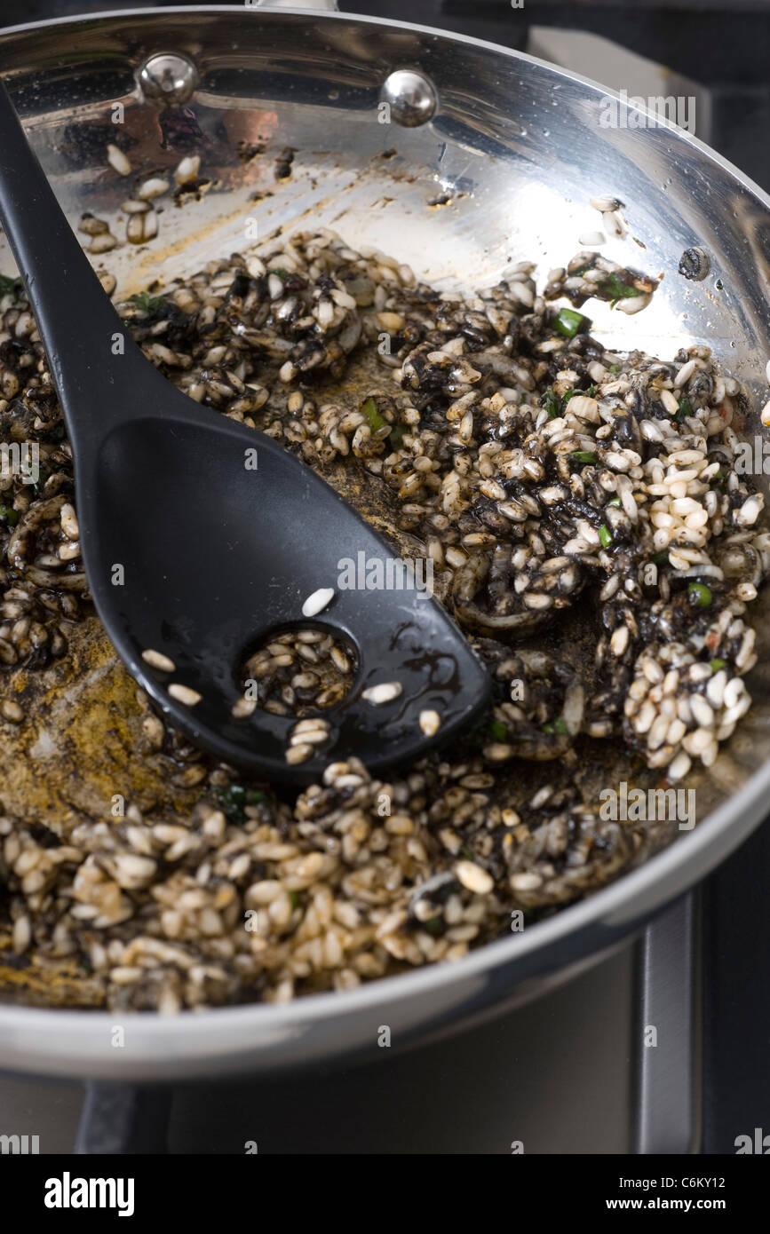 Making squid ink risotto Stock Photo