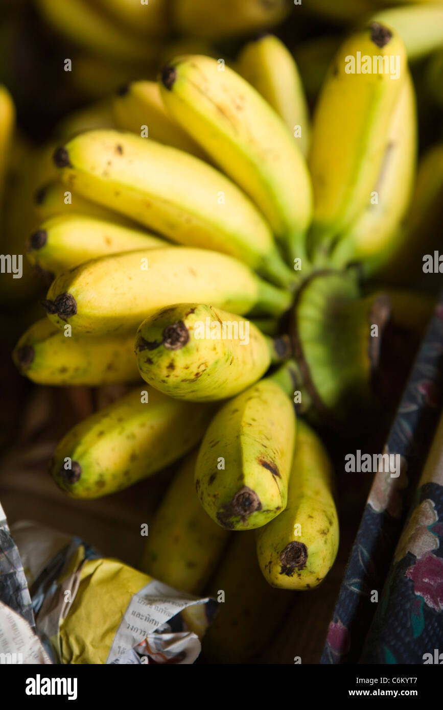 Bunch of bananas Stock Photo