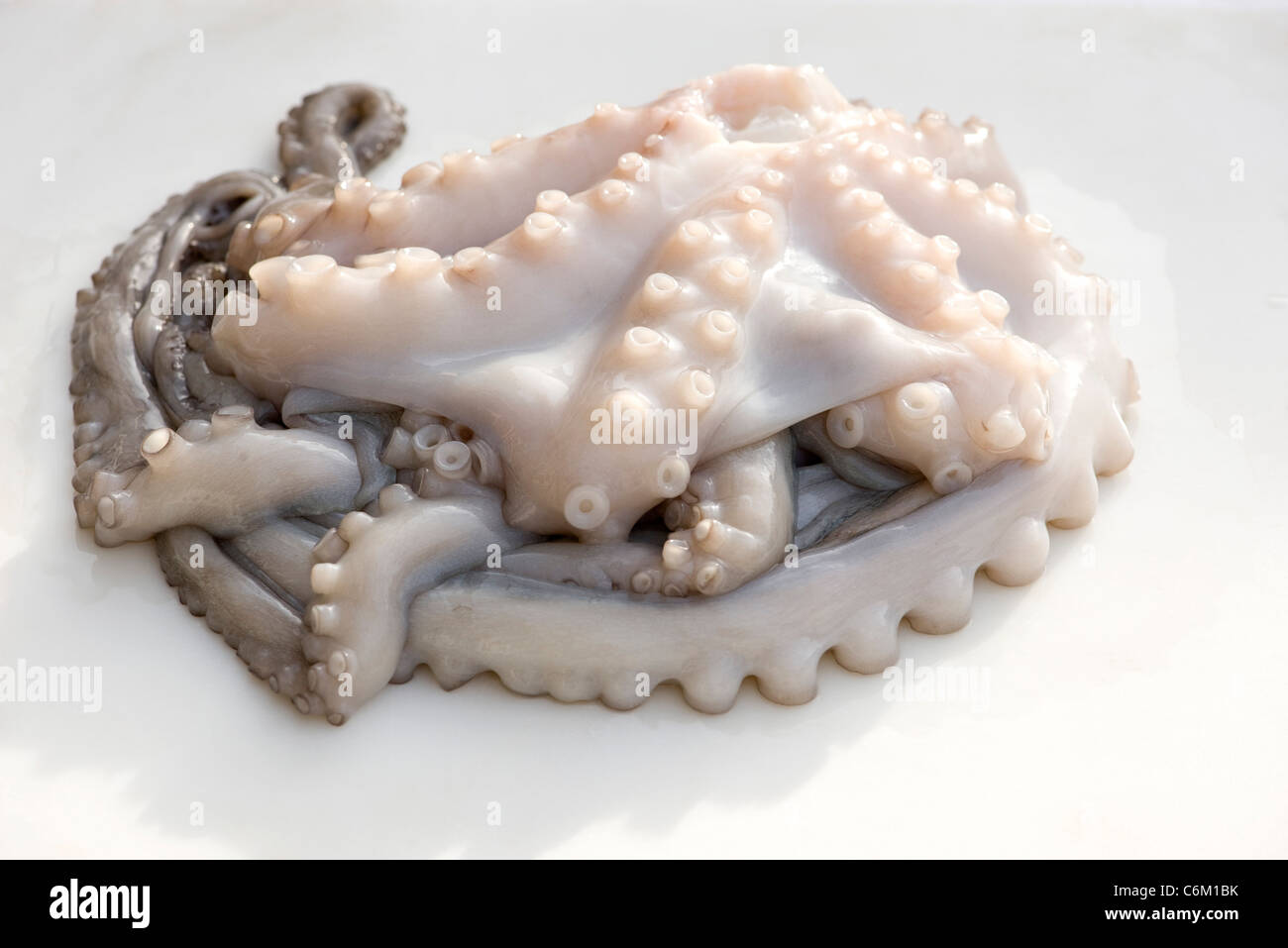 Fresh raw octopus, closeup Stock Photo Alamy