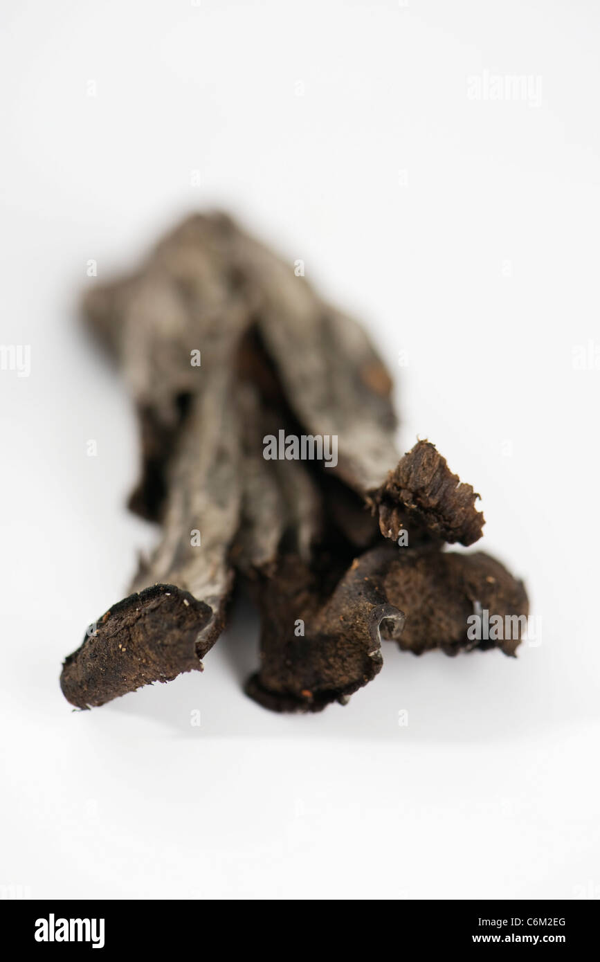 Trumpet of death mushroom (Craterellus cornucopioides Stock Photo Alamy