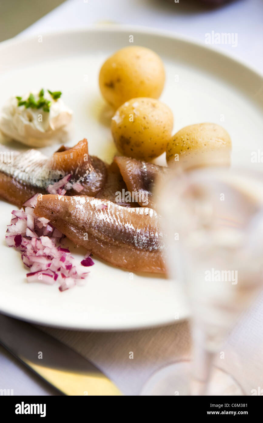 New potatoes with pickled herring and sour cream Stock Photo Alamy