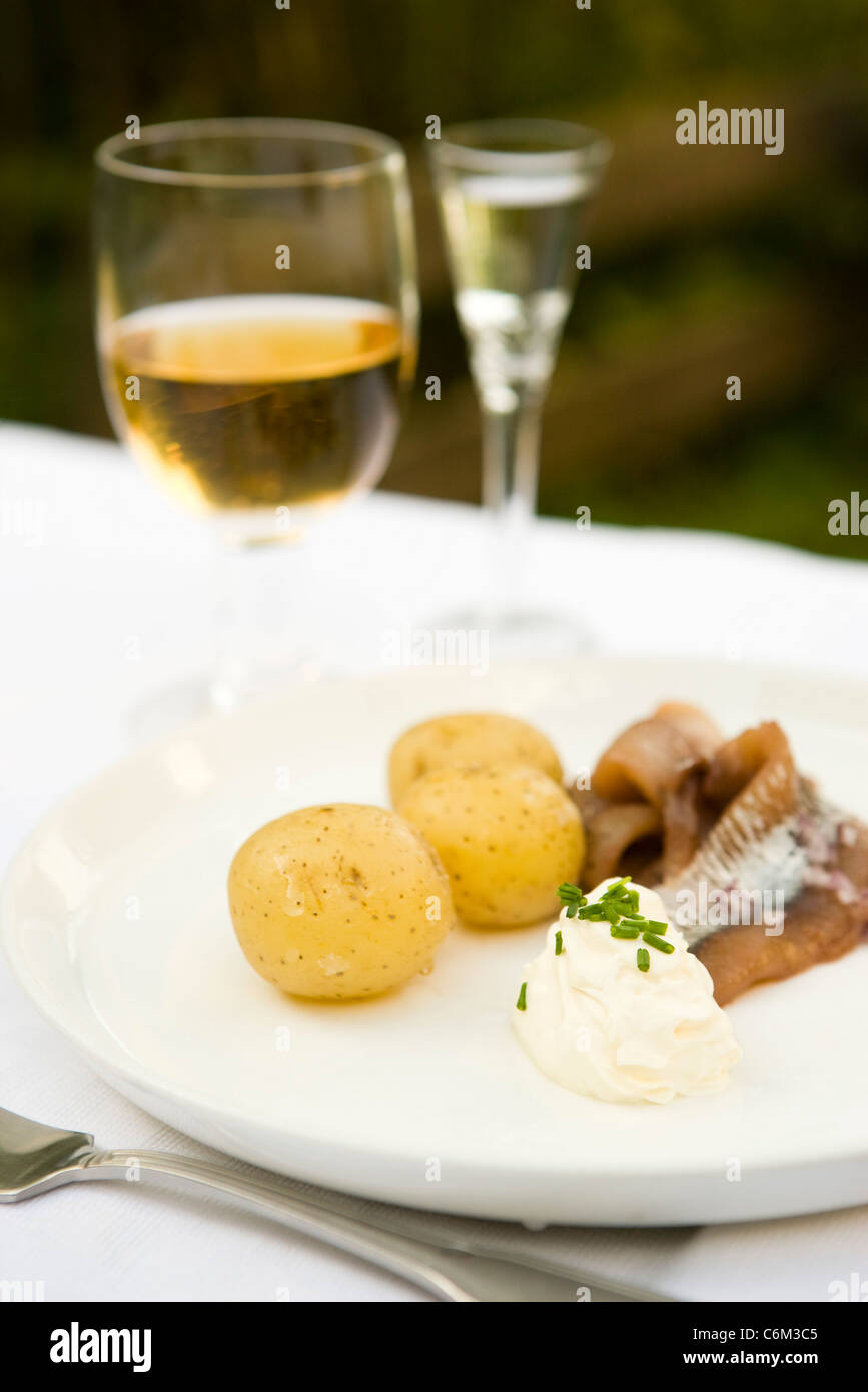 New potatoes with pickled herring and sour cream Stock Photo Alamy