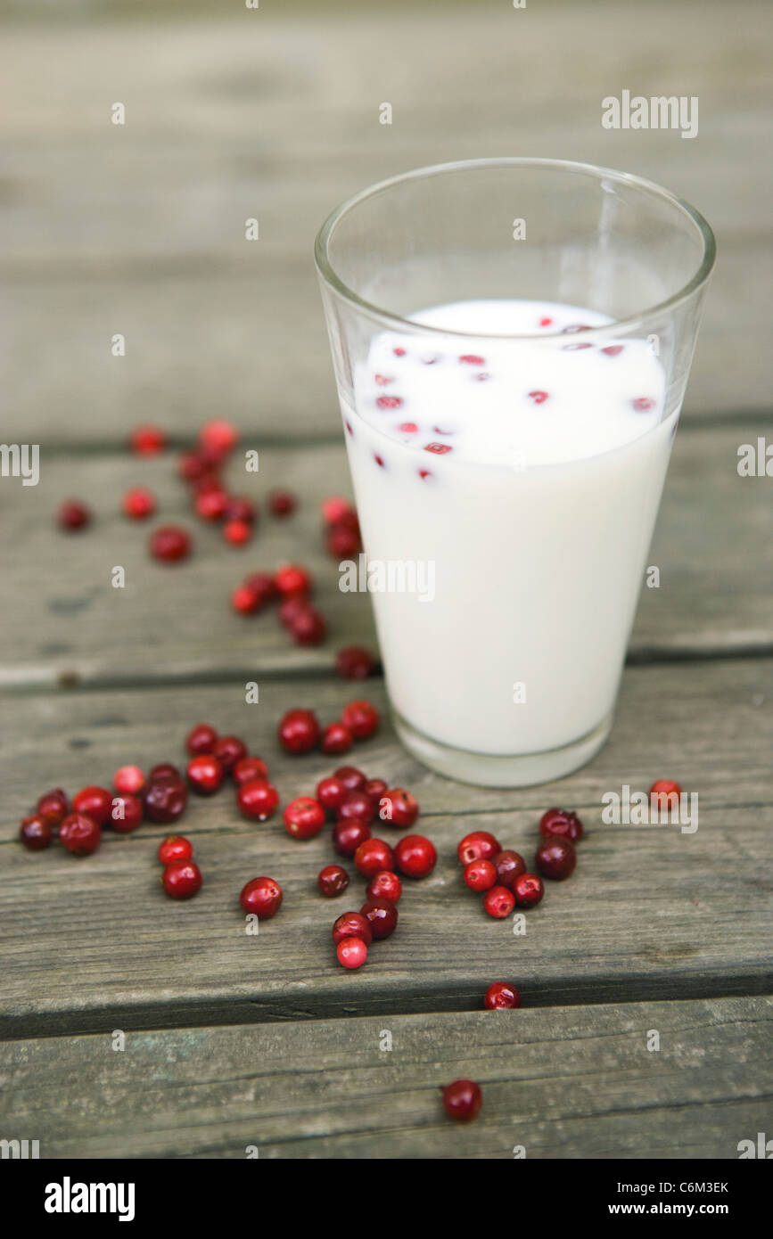 Lingonberries with glass of milk Stock Photo