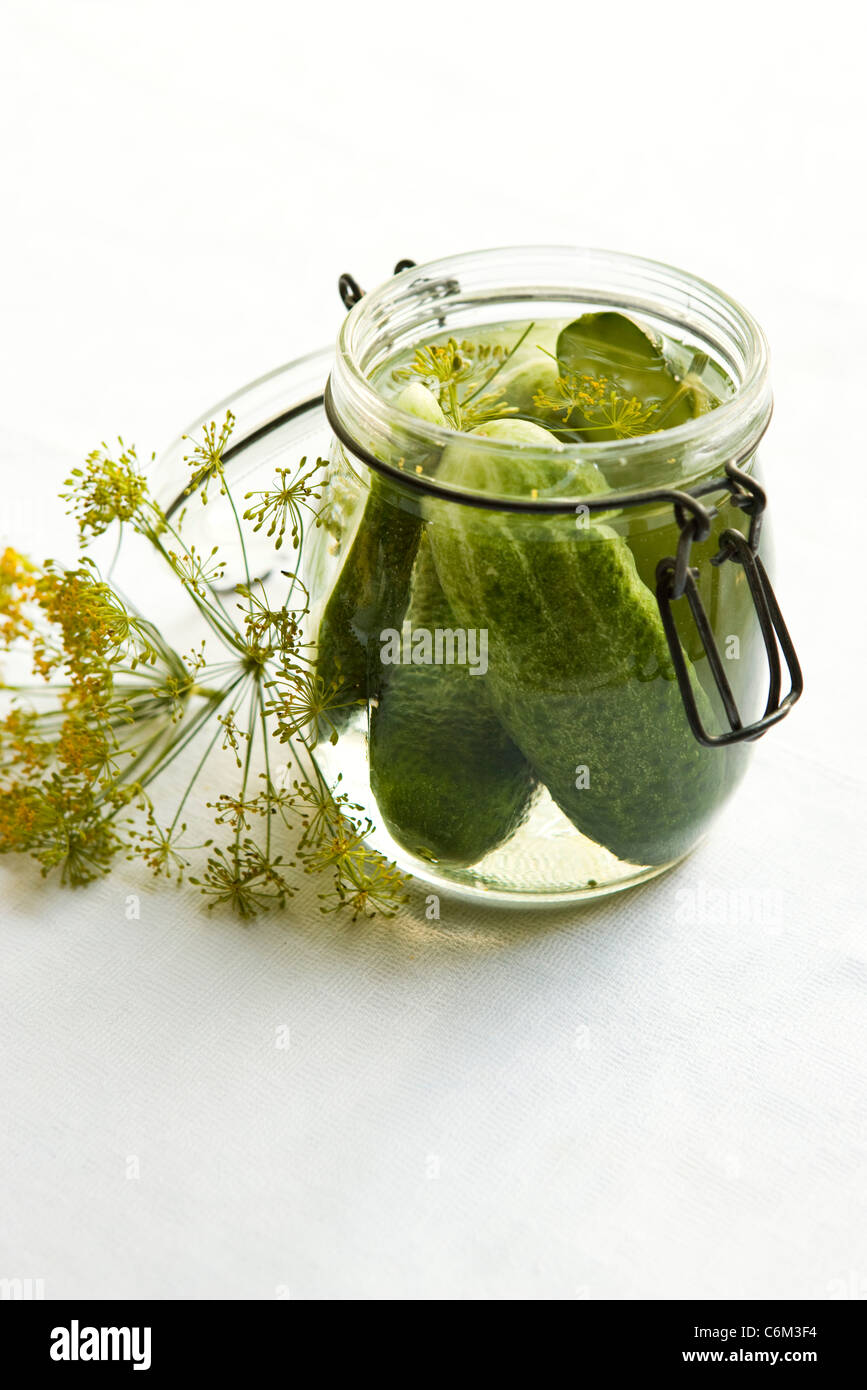 Fresh dill pickles Stock Photo Alamy