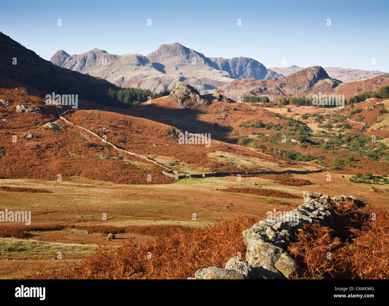 View of the Langdale Pikes from Langdale in the Lake District, Cumbria, UK Stock Photo