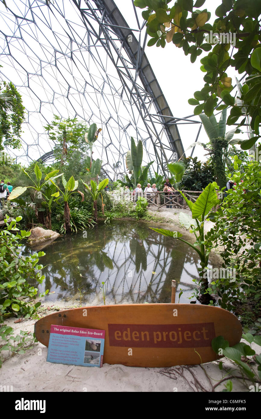 Rainforest area in the Tropical Biome at the Eden Project. Photo:Jeff Gilbert Stock Photo