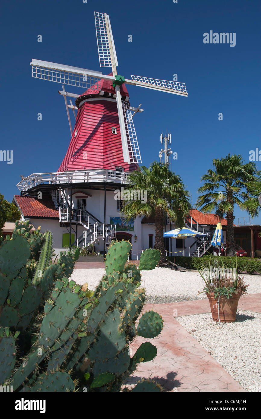 Old Dutch Windmill, Palm/Eagle Beach, Aruba, lesser Antilles, Caribbean, with deep blue sky and cactus in foreground Stock Photo