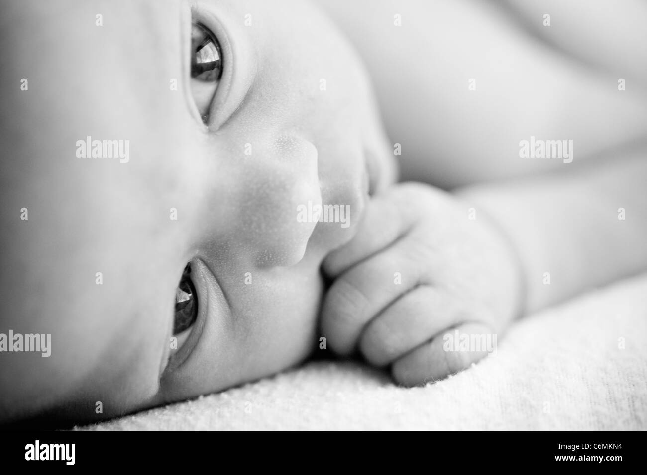 newborn baby in black and white Stock Photo