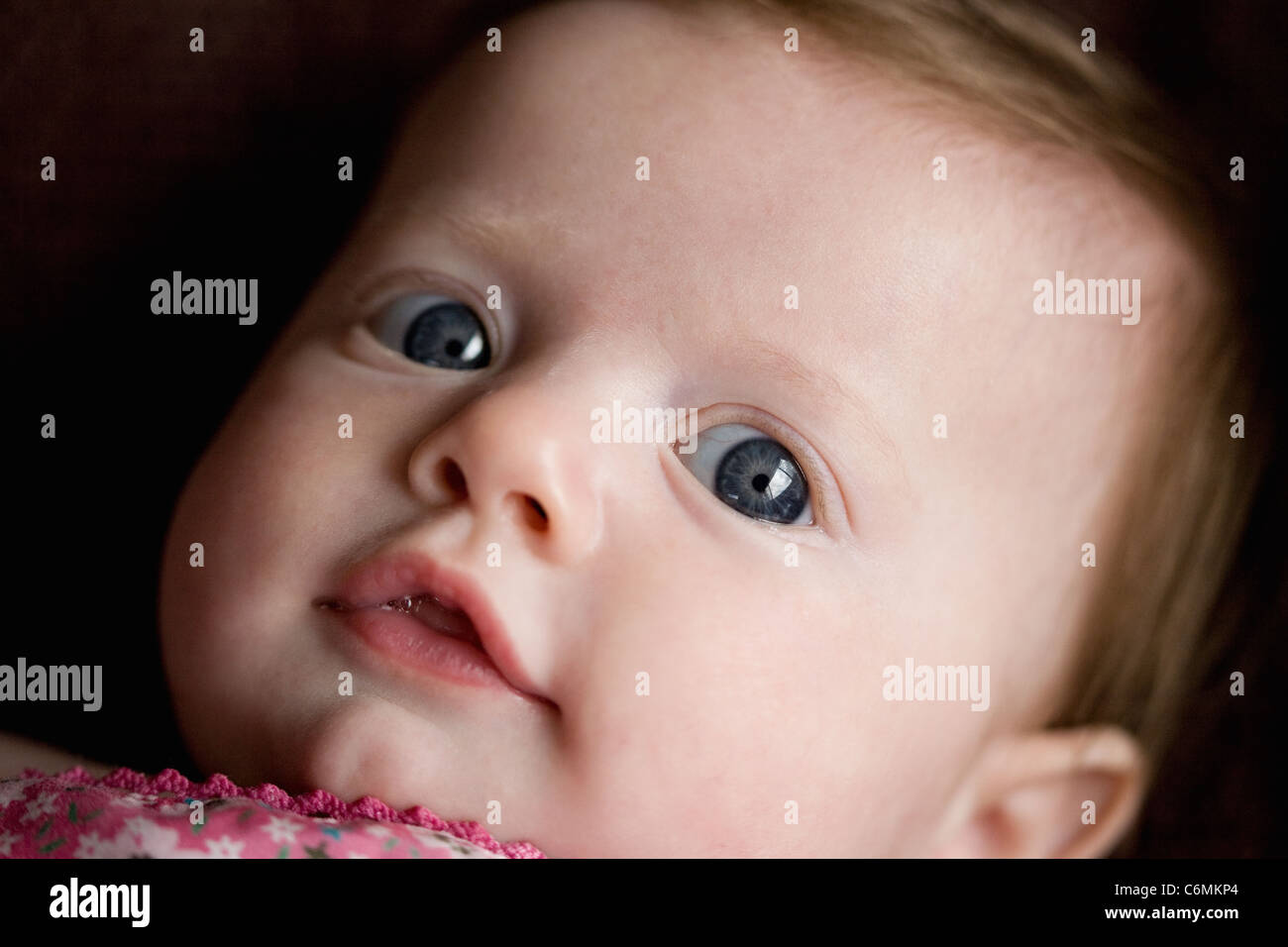Baby girl direct gaze Stock Photo Alamy
