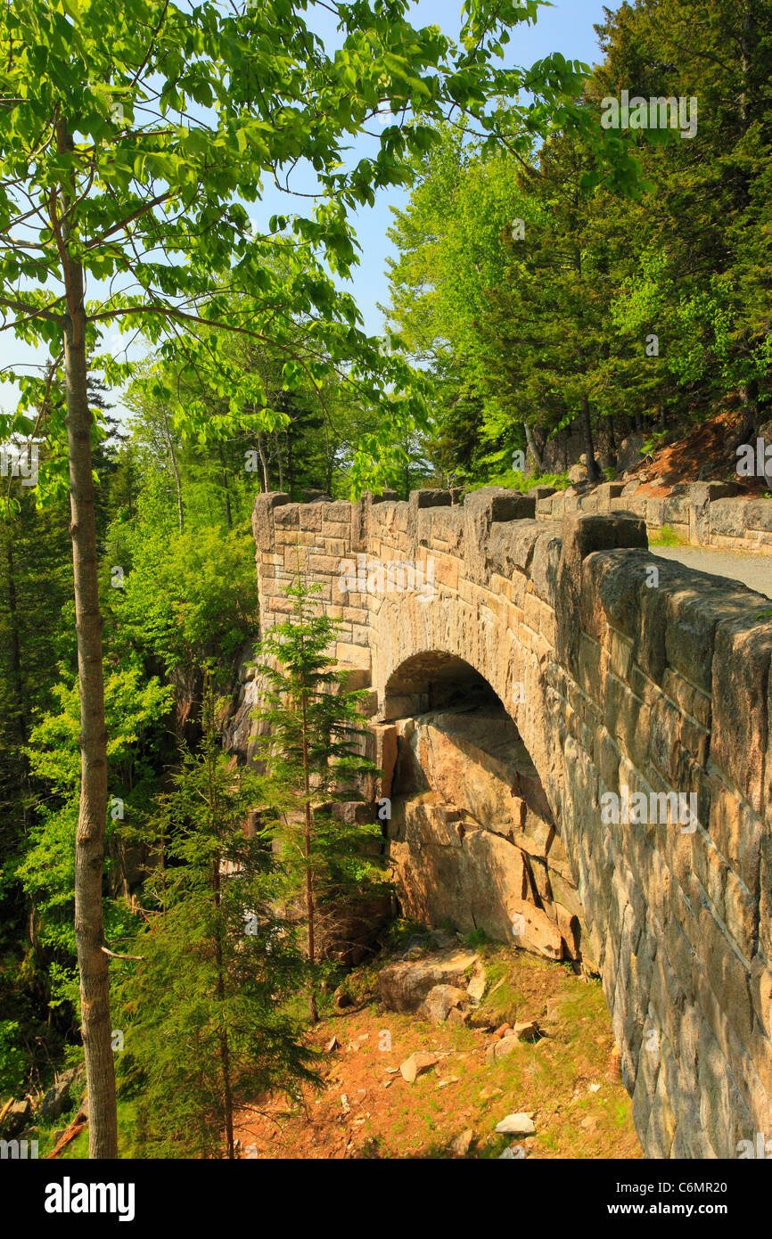 Cliffside Bridge, Jordan Stream loop Carriage Road, Acadia National Park, Mount Desert Island, Maine, USA Stock Photo