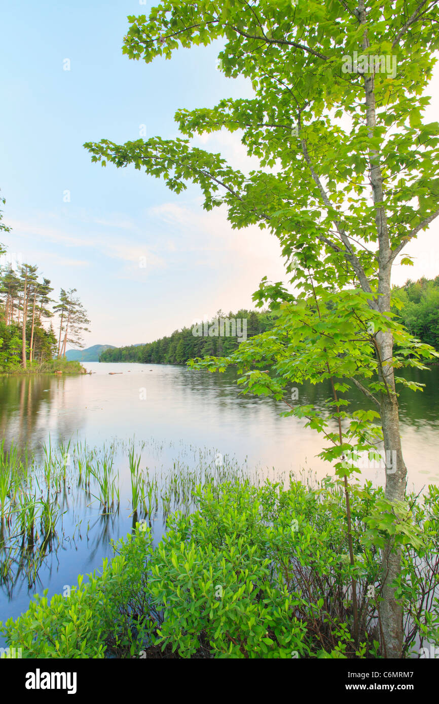 Dusk on Eagle Lake Loop Carriage Road, Eagle Lake, Acadia National Park