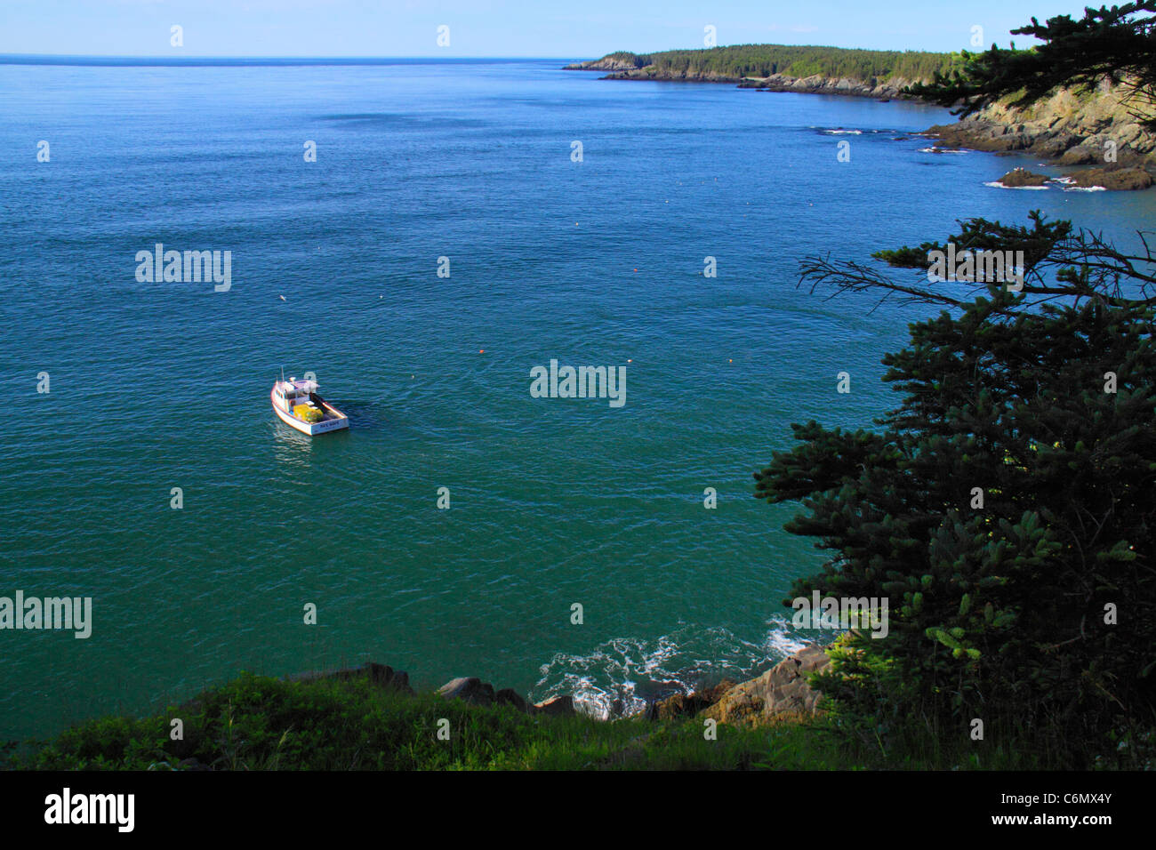 Cutler Coastal Trail, Bold Coast Preserve, Cutler, Maine, USA Stock