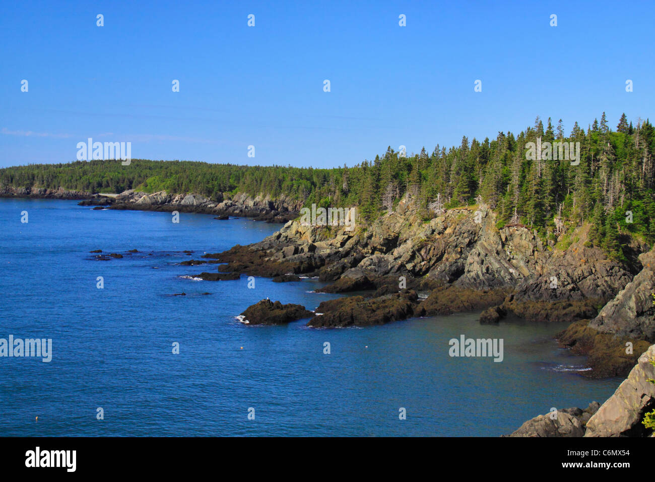 Cutler Coastal Trail, Bold Coast Preserve, Cutler, Maine, USA Stock