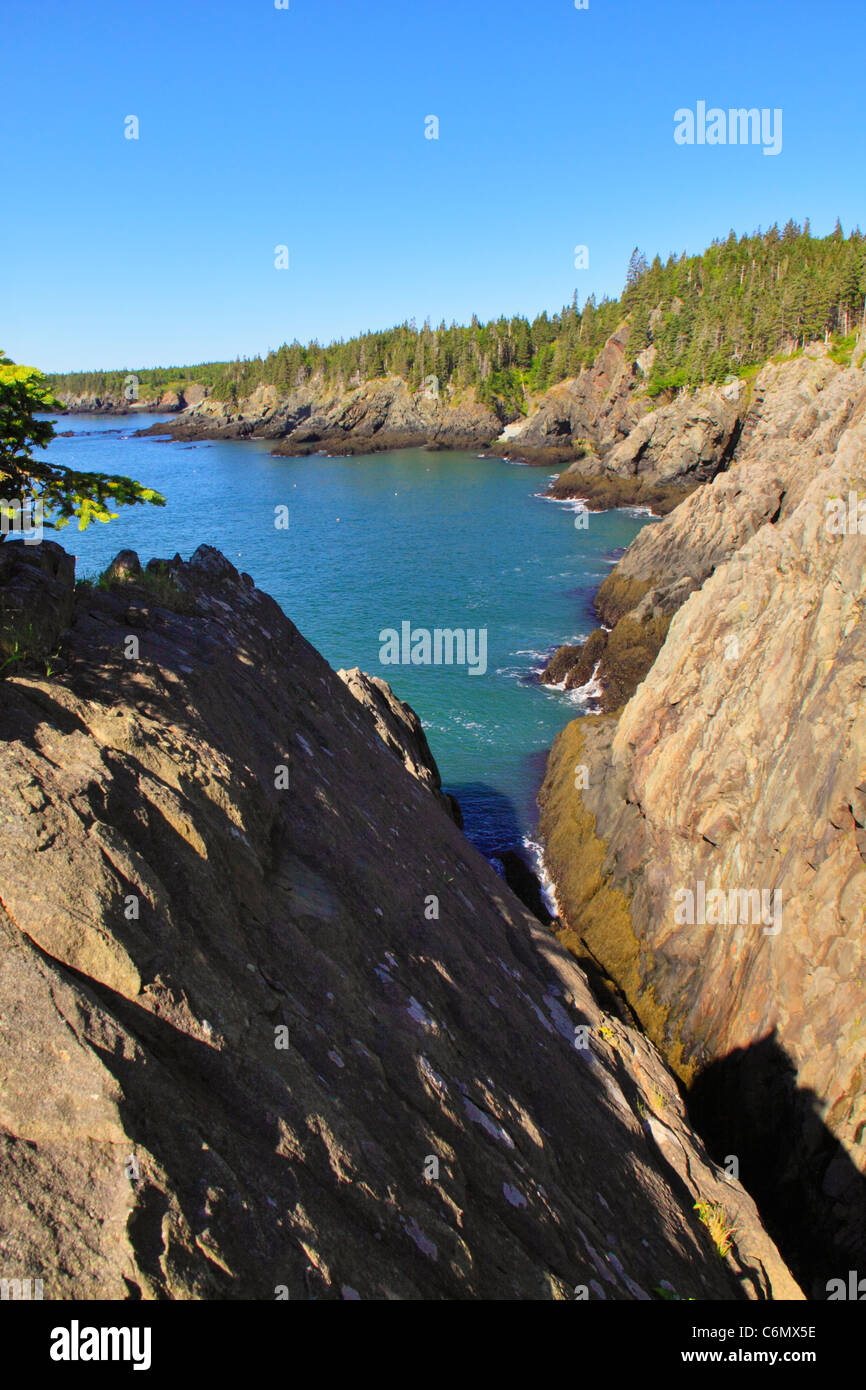 Cutler Coastal Trail, Bold Coast Preserve, Cutler, Maine, USA Stock