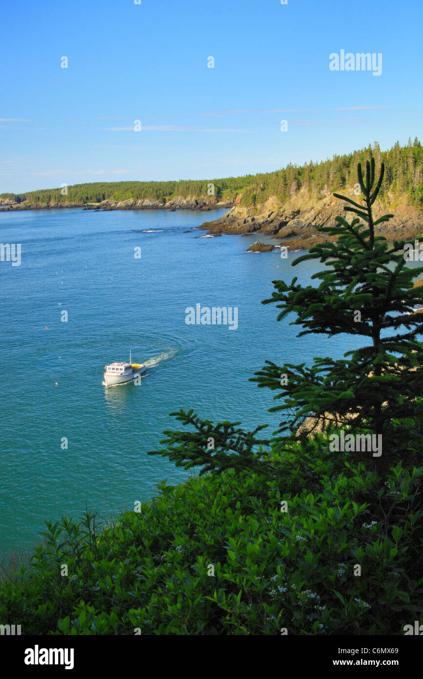 Cutler Coastal Trail, Bold Coast Preserve, Cutler, Maine, USA Stock