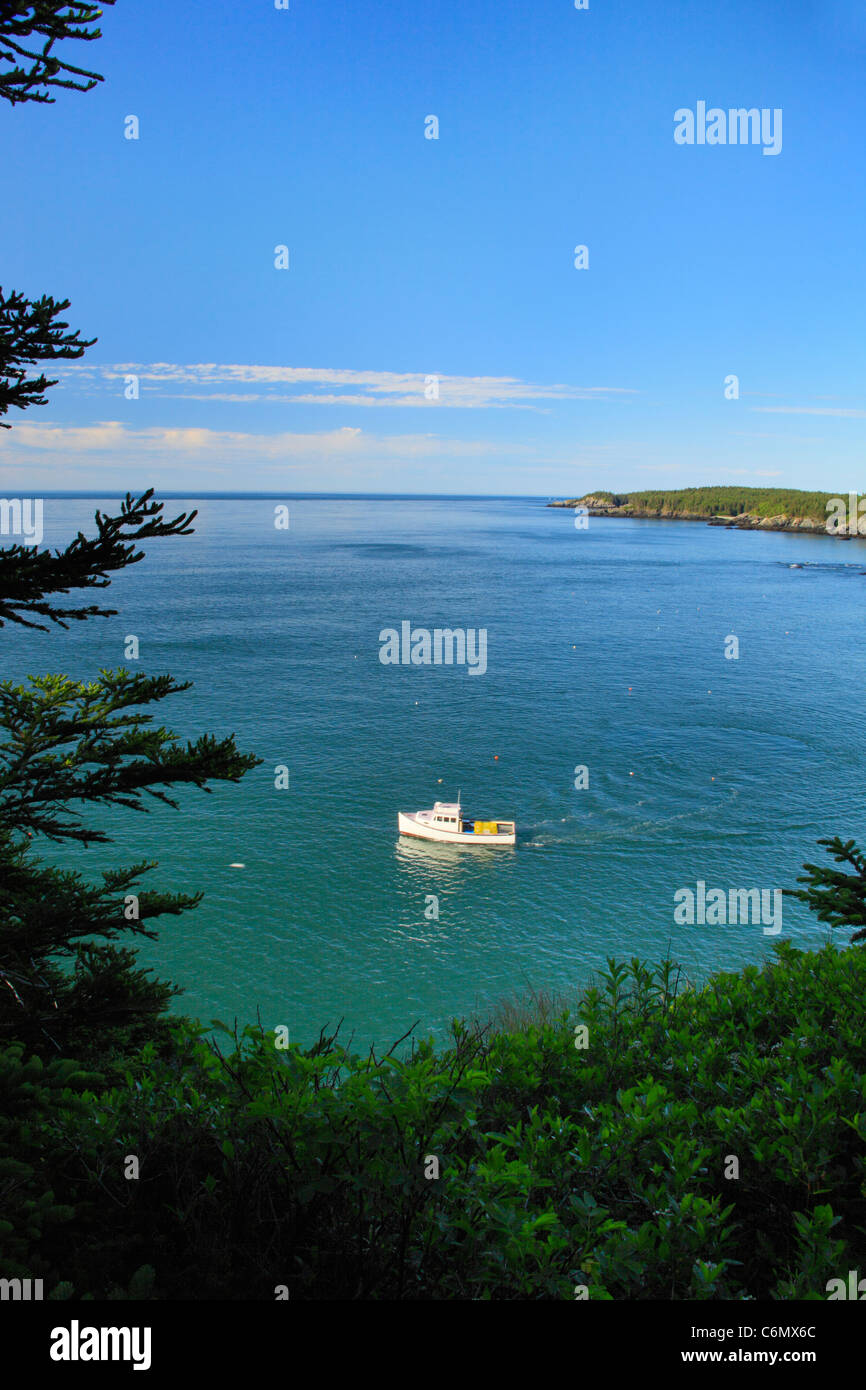 Cutler Coastal Trail, Bold Coast Preserve, Cutler, Maine, USA Stock