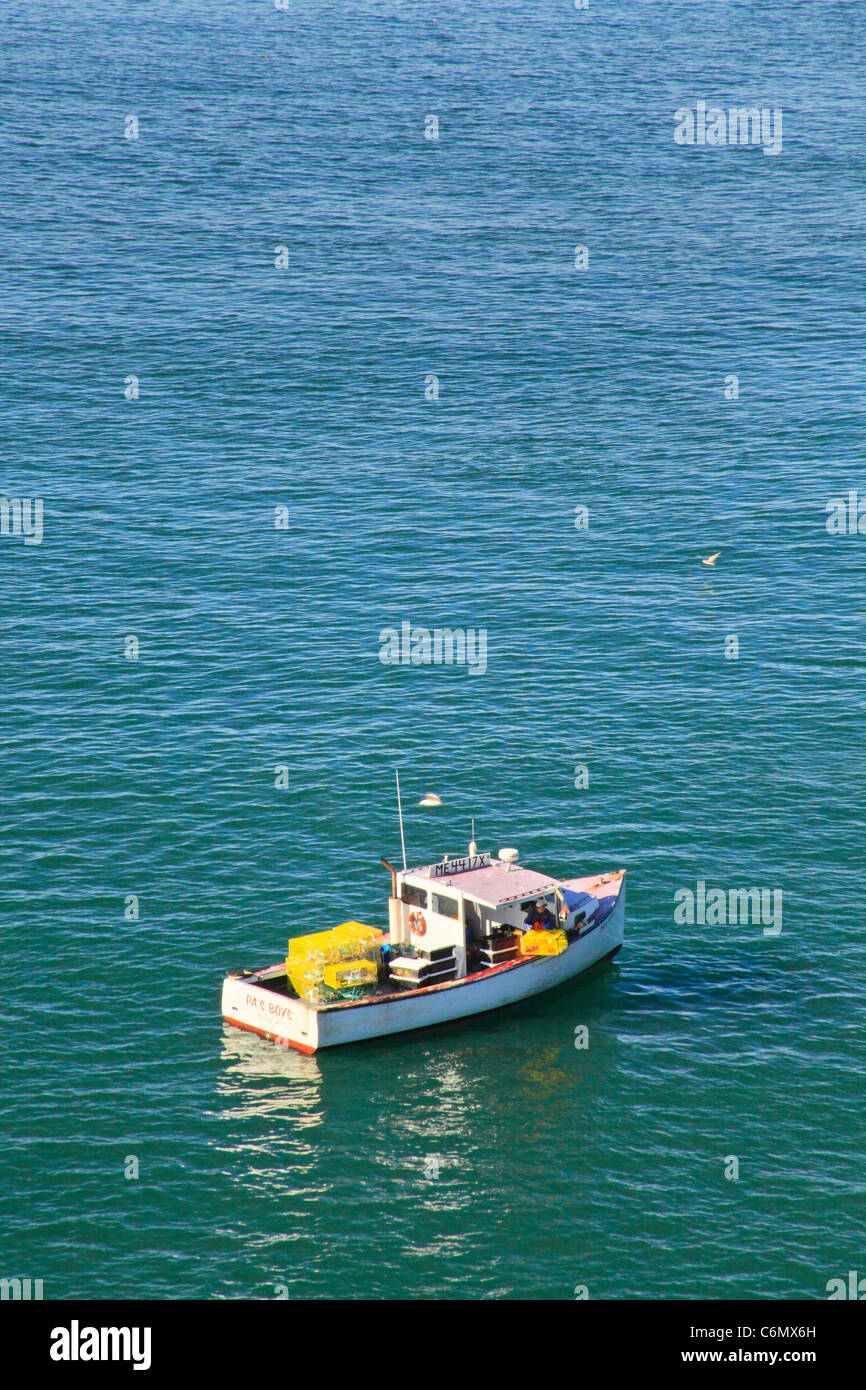 Cutler Coastal Trail, Bold Coast Preserve, Cutler, Maine, USA Stock