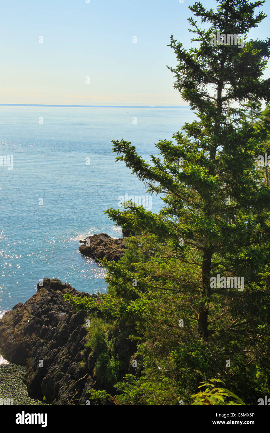Cutler Coastal Trail, Bold Coast Preserve, Cutler, Maine, USA Stock