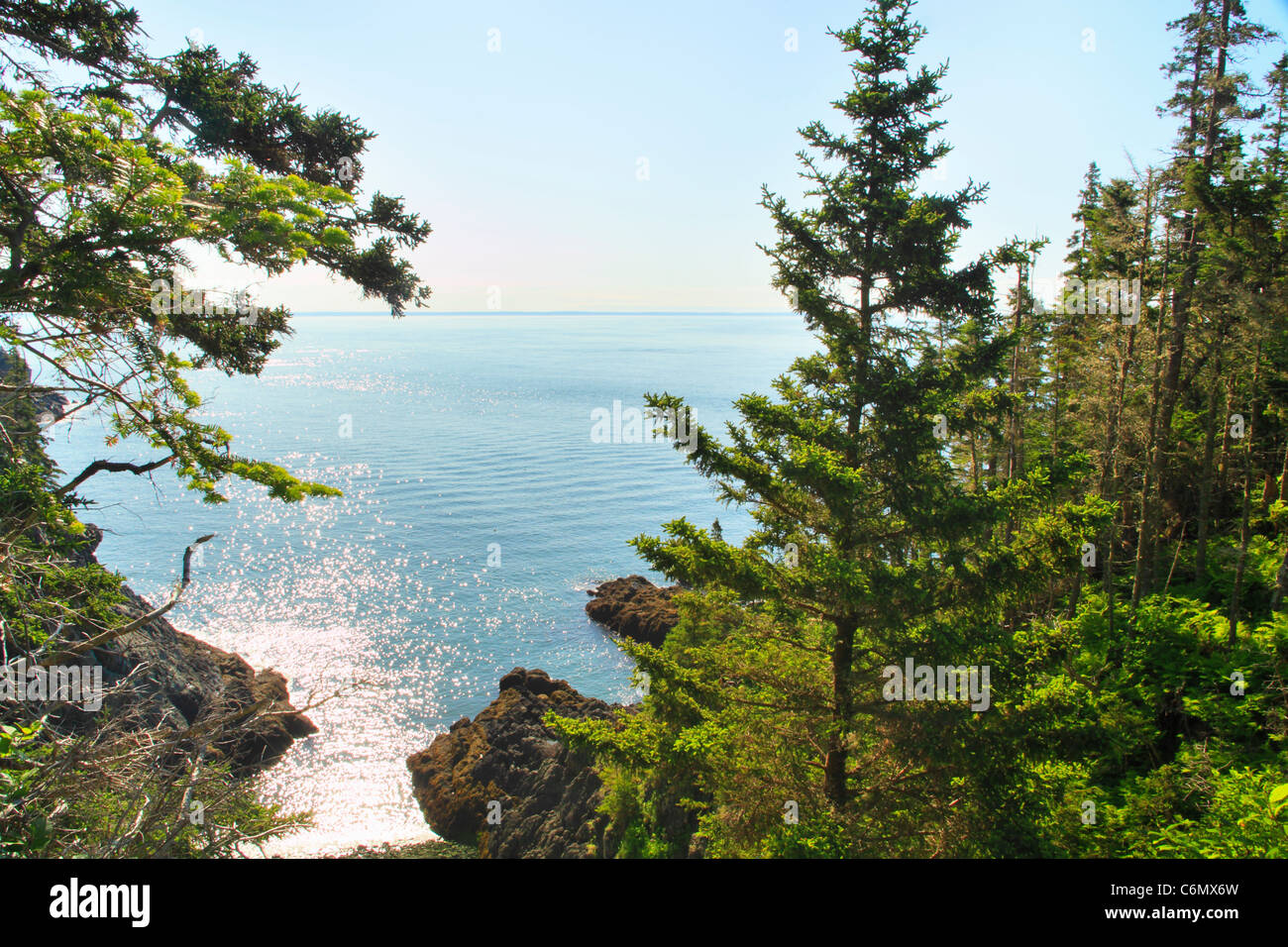 Cutler Coastal Trail, Bold Coast Preserve, Cutler, Maine, USA Stock