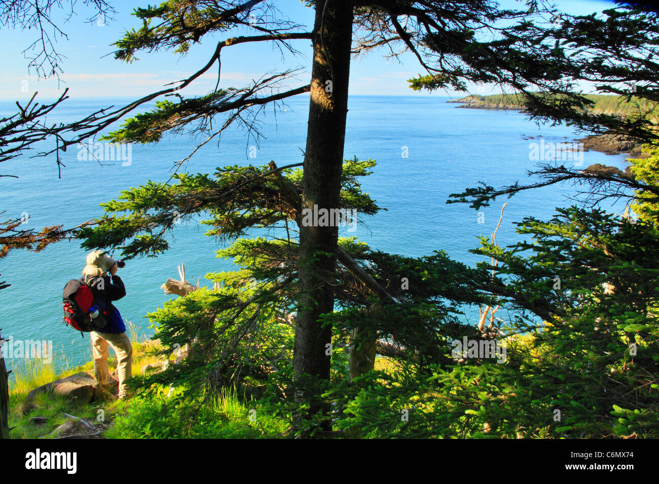 Cutler Coastal Trail, Bold Coast Preserve, Cutler, Maine, USA Stock