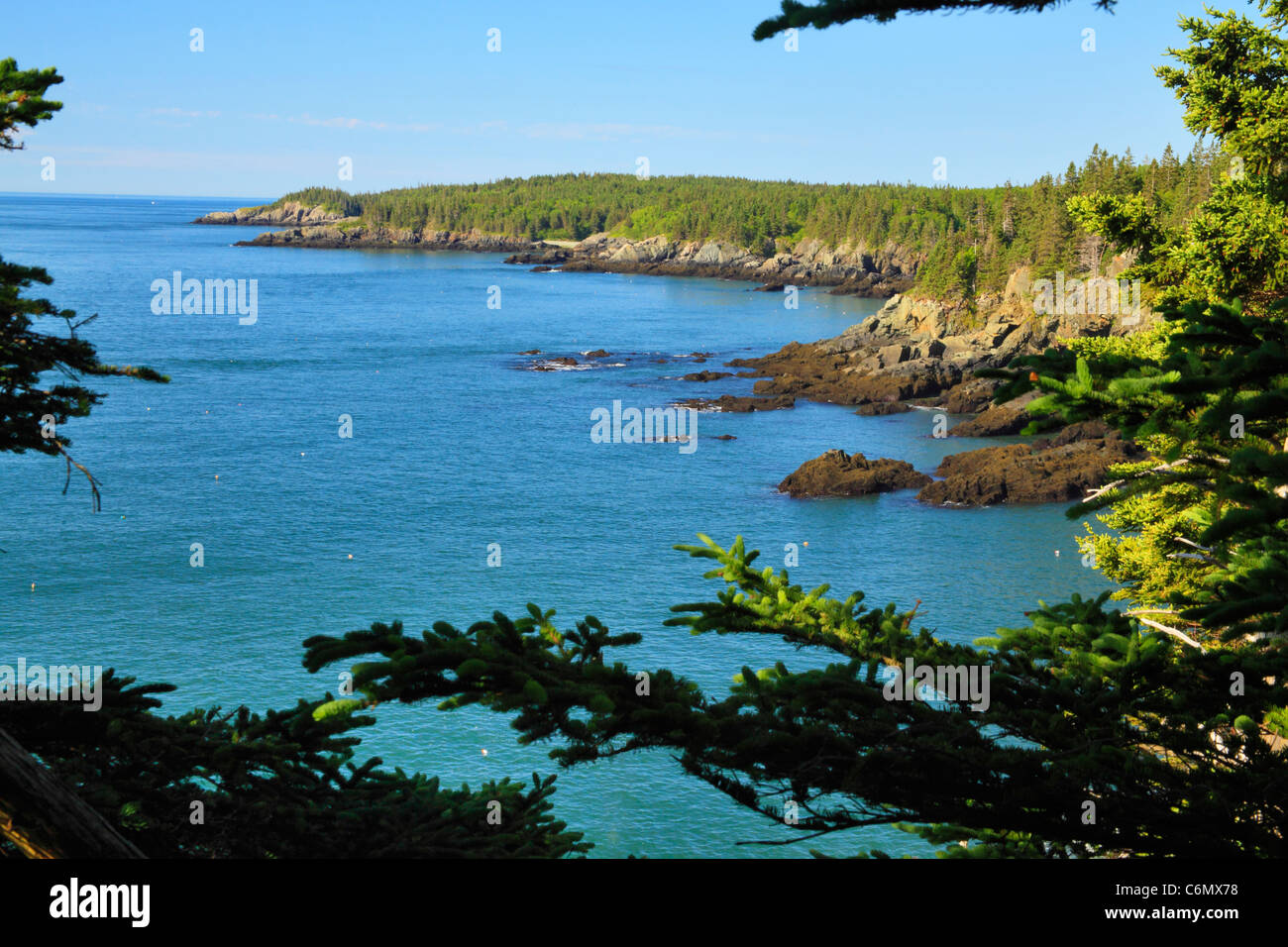 Cutler Coastal Trail, Bold Coast Preserve, Cutler, Maine, USA Stock