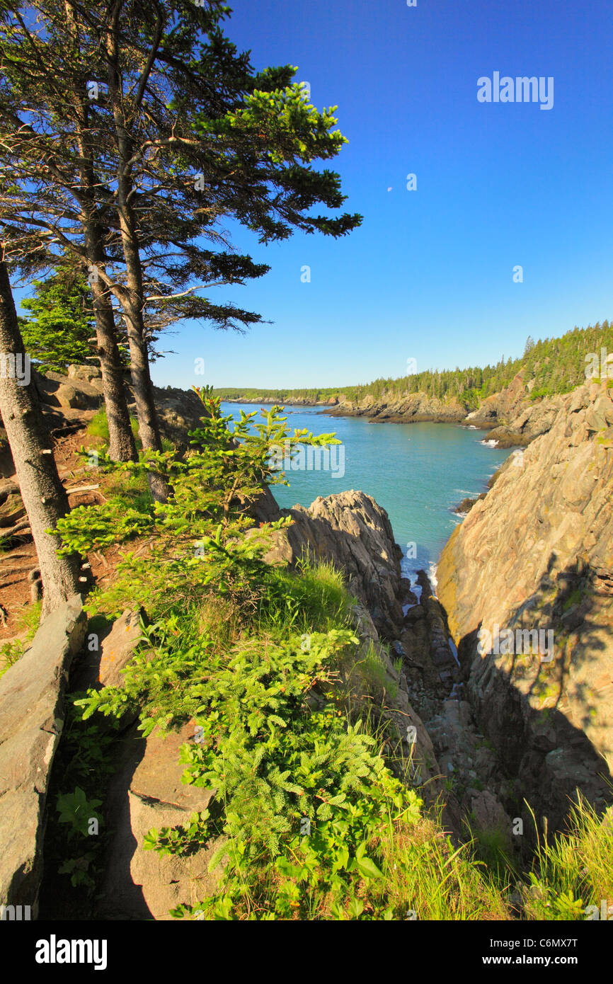 Cutler Coastal Trail, Bold Coast Preserve, Cutler, Maine, USA Stock