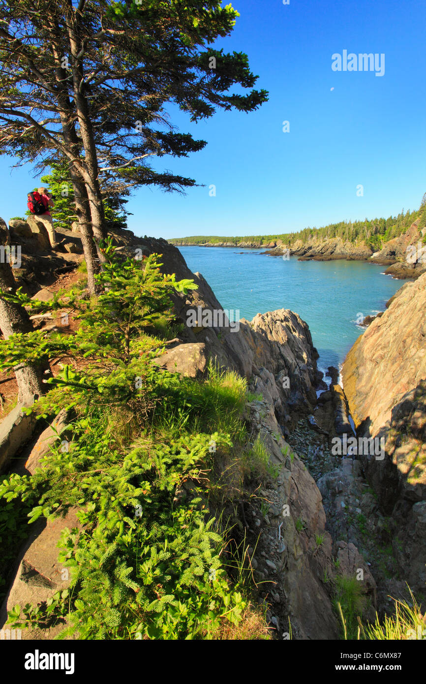 Cutler coast trail hires stock photography and images Alamy