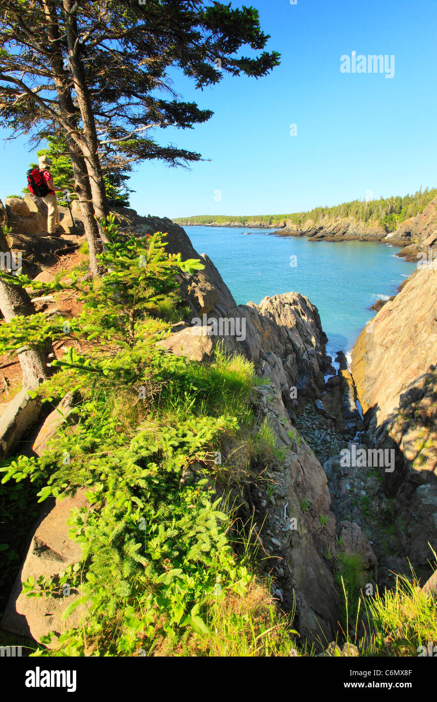 Cutler Coastal Trail, Bold Coast Preserve, Cutler, Maine, USA Stock