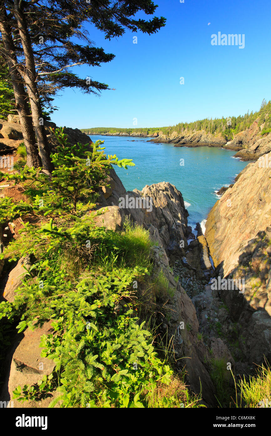 Cutler Coastal Trail, Bold Coast Preserve, Cutler, Maine, USA Stock