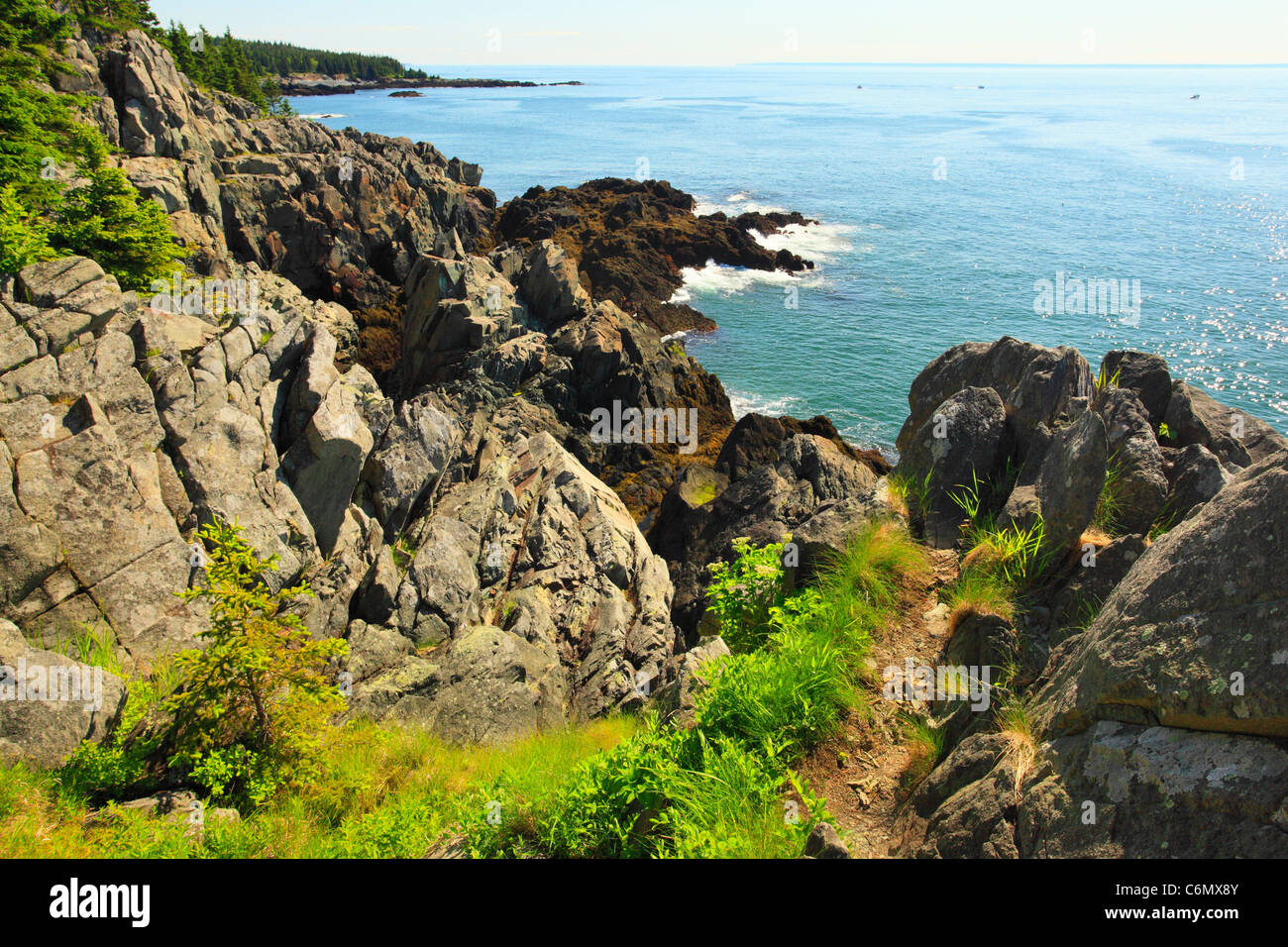 Cutler Coastal Trail, Bold Coast Preserve, Cutler, Maine, USA Stock