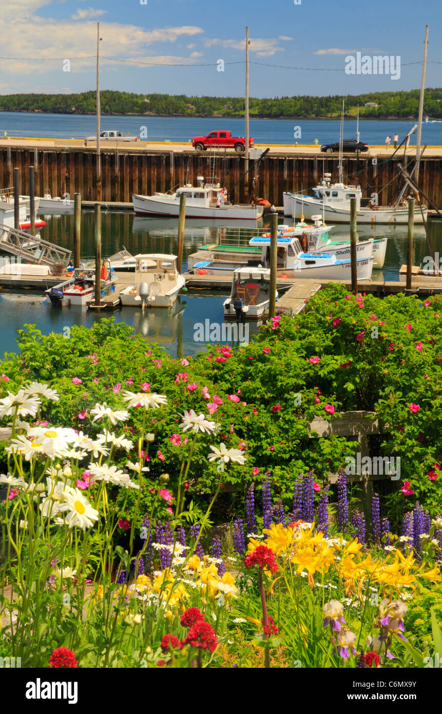 Eastport maine hires stock photography and images Alamy