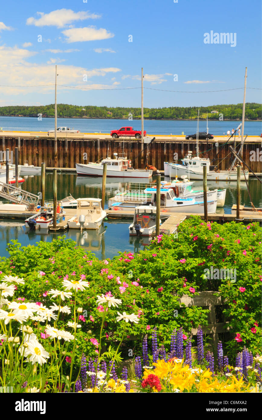 Eastport maine hires stock photography and images Alamy