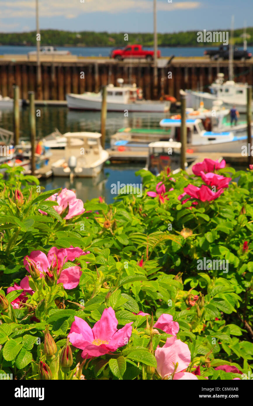 Eastport maine hires stock photography and images Alamy