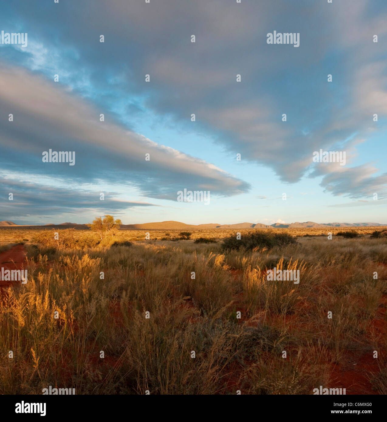 Sunset and cloud over dry grass plains Stock Photo