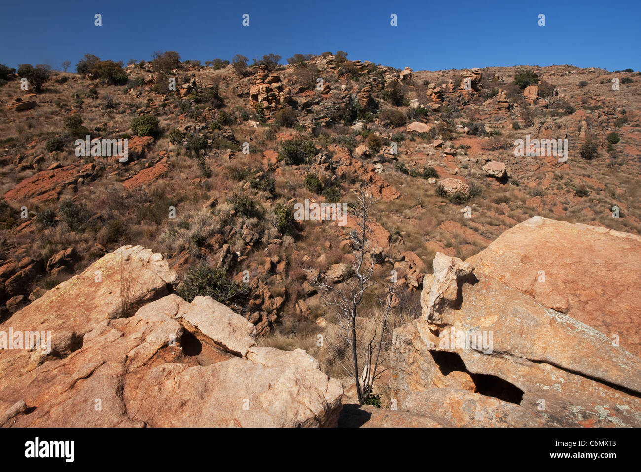 Magaliesberg landscape rocks hi-res stock photography and images - Alamy
