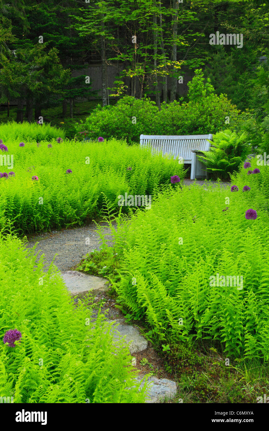 Thuya Gardens, Northeast Harbor, Mount Desert Island, Maine, USA Stock Photo Alamy