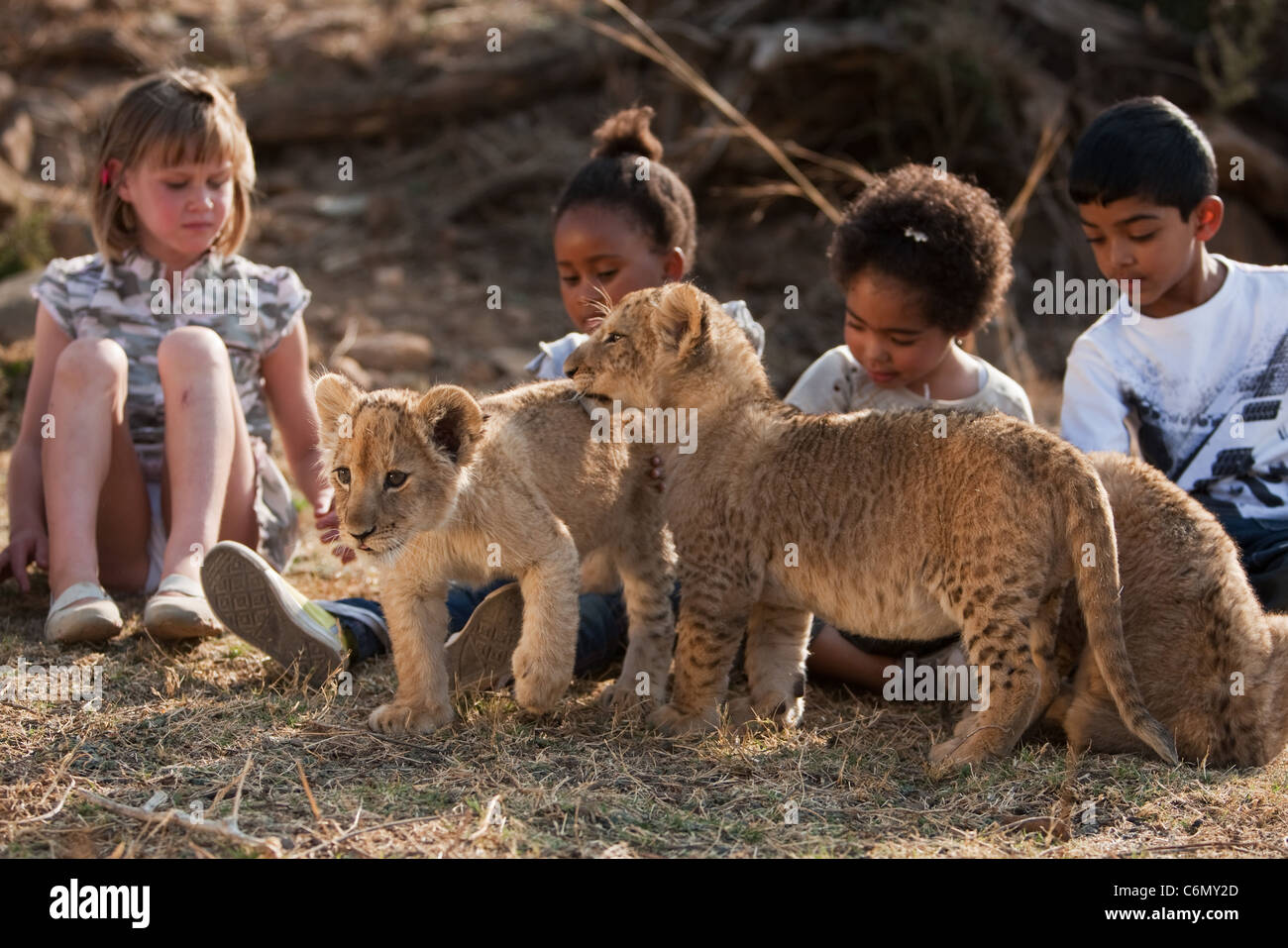 Animal conservation children wild hi-res stock photography and images -  Alamy