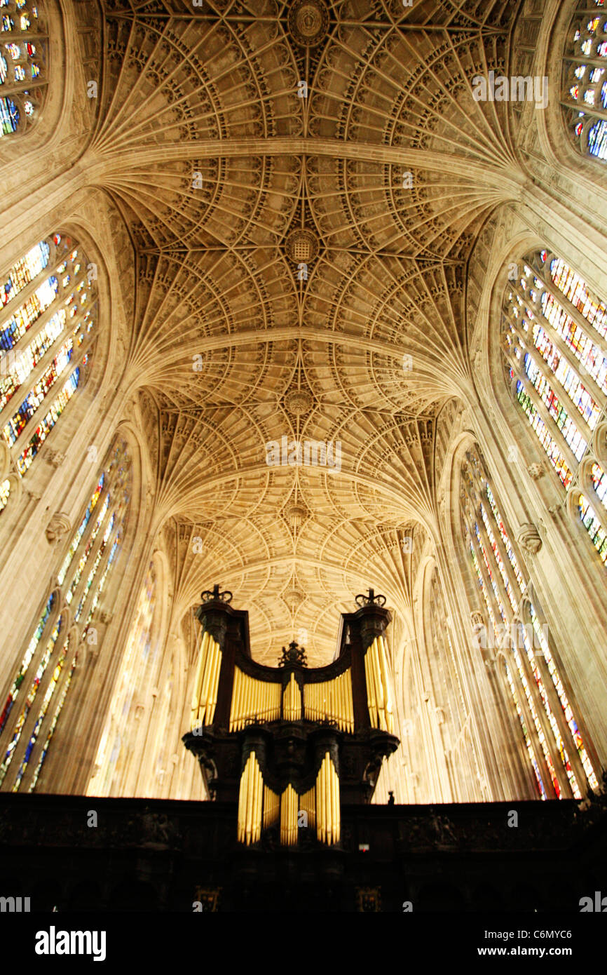 View from below of the fan vaulted ceiling and organ at King's Chapel, Cambridge University Stock Photo