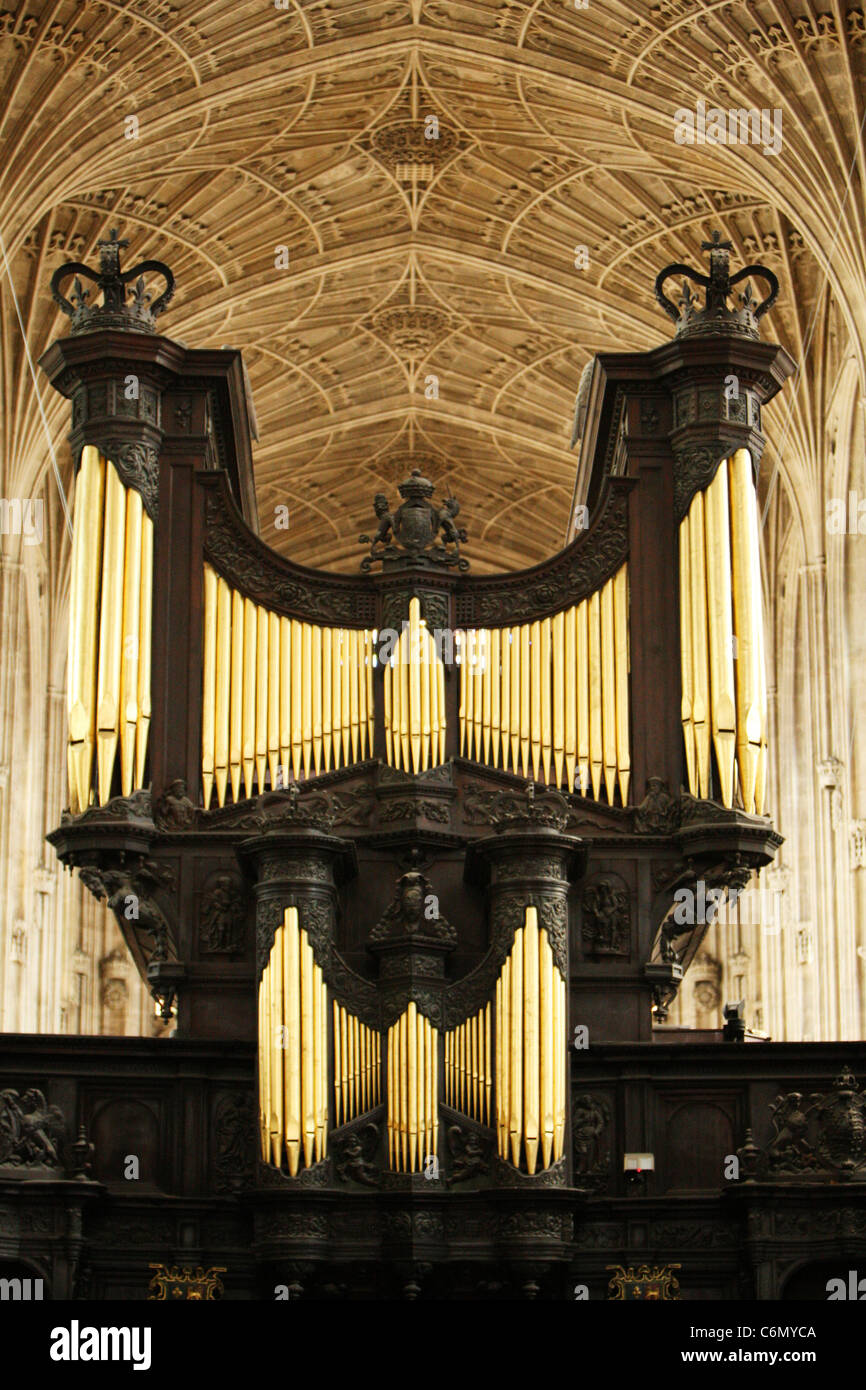 The fan vaulted ceiling, organ and organ pipes at Kings College, Cambridge University Stock Photo