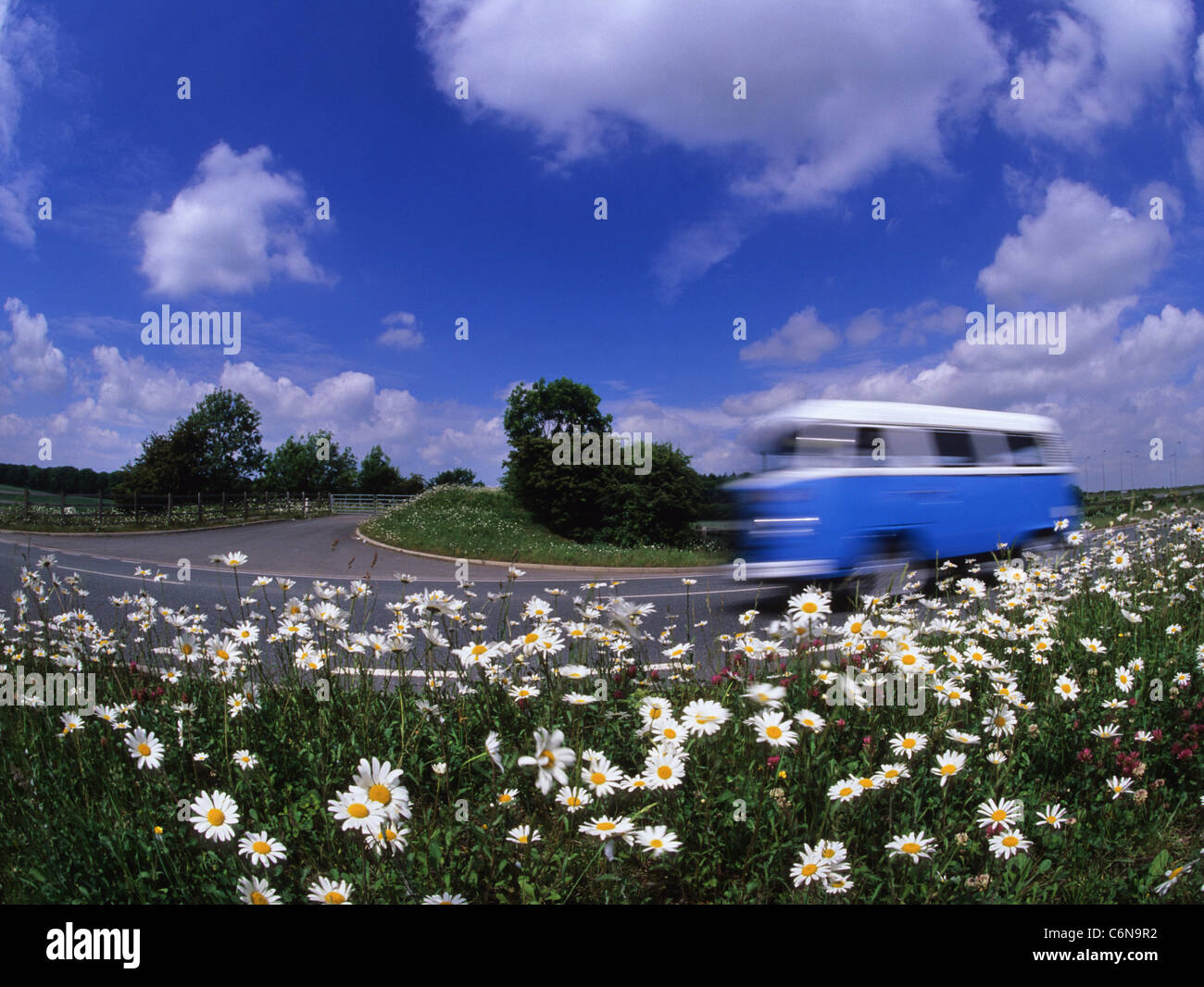 low angle view of volkswagen camper van travelling along country road passing wild flowers Yorkshire UK Stock Photo